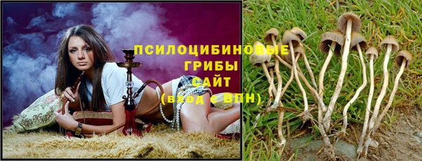 PSILOCYBIN Козельск