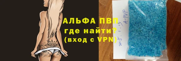 PSILOCYBIN Козельск
